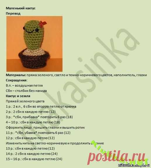 Маленький кактус