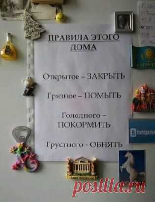 (41) Одноклассники