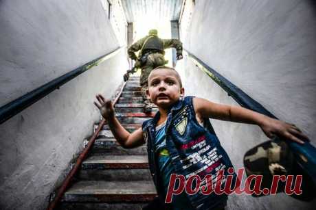 Азовский фронт: ополченцы теснят украинскую армию :: Фоторепортажи :: Top.rbc.ru