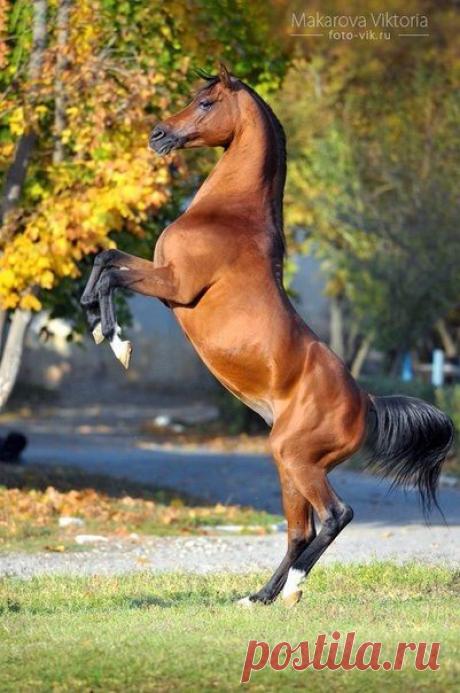 (1) Мой Мир@Mail.Ru