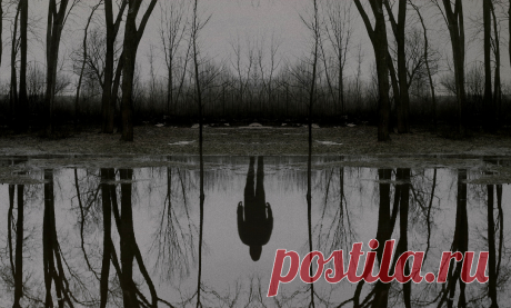 "Чужак" – леденящий кровь детектив по роману Стивена Кинга | KINOMAN | Яндекс Дзен