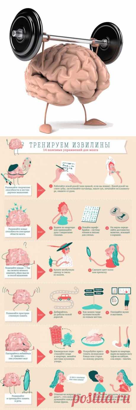 Тренируем извилины. 14 полезных упражнений для мозга / Будьте здоровы