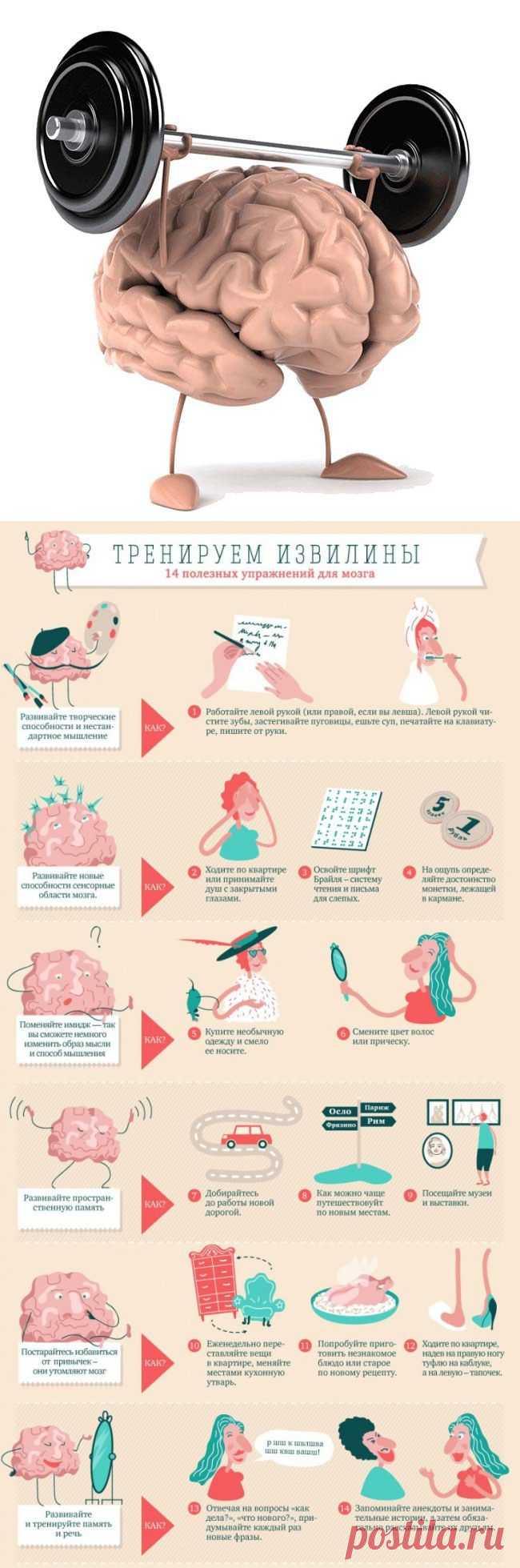Тренируем извилины. 14 полезных упражнений для мозга / Будьте здоровы