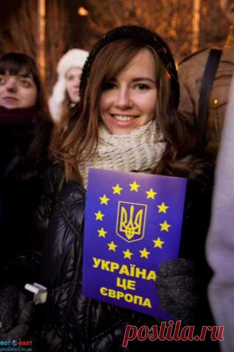 Немного злого . Попрыгунья Стрекоза... прости меня, Крылов...