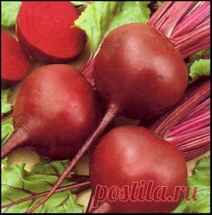 Как полностью очистить печень