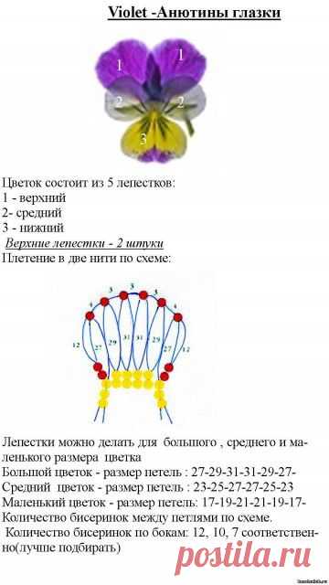 | Записи в рубрике цветы | Дневник ксения_изнова