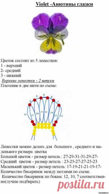 | Записи в рубрике цветы | Дневник ксения_изнова