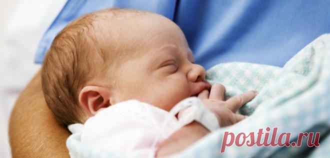 В Британии добрили зачатие детей из ДНК трех родителей | SloveniaBusiness & Living