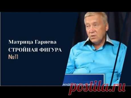 Матрица Гаряева - Стройная фигура для мужчин и женщин