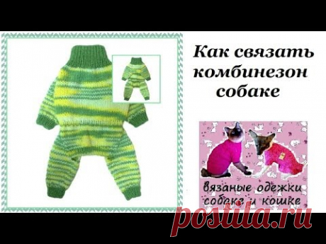 Как связать комбинезон собаке