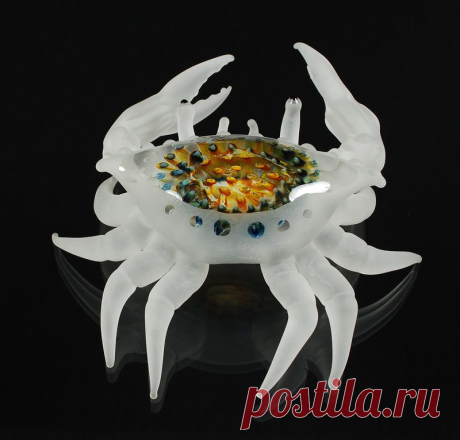 представители моря
