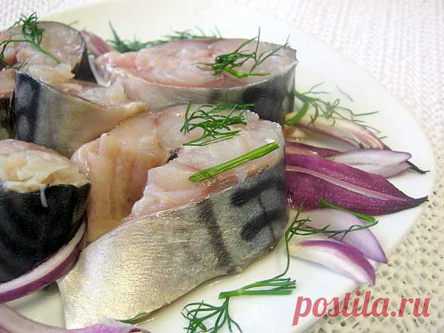 Скумбрия быстрого посола