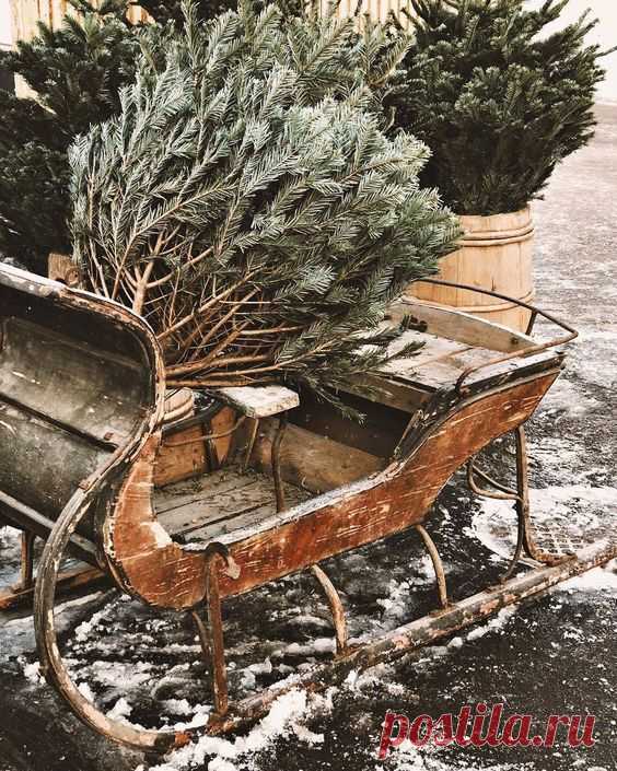 christmas-winter
