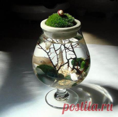 Миниатюрный аквариум как элемент декора ~ Planetalsad