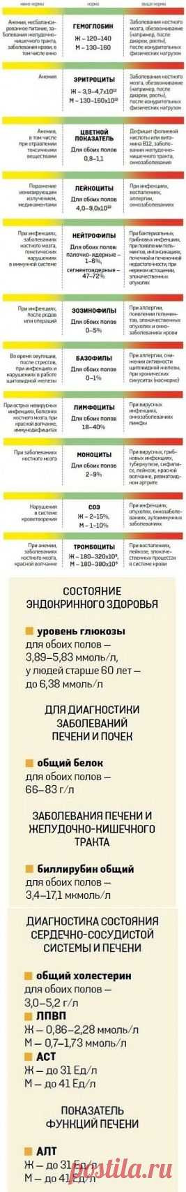 анализ крови .норма и отклонения