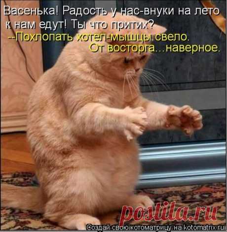 Для хорошего настроения, для заряда позитивной энергии на весь день, хочу чтобы вы друзья посмотрели эту забавную фотоподборку - котоматрица. Эти 50 фотографий не оставят вас равнодушными))))))))))

                                                                              Желаю всем хорошего дня!