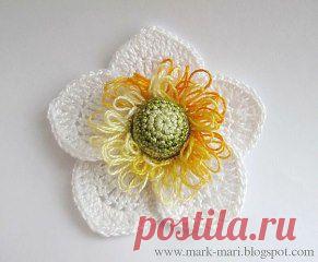 Нарцисс в ваш весенний букет.