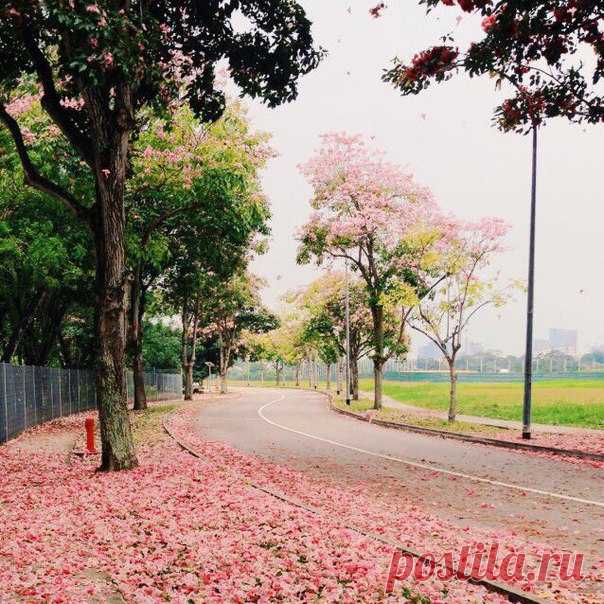 Человек – продукт своих мыслей. Ибо он становится тем, о чем он думает большую часть времени! © Поэтому чаше мыслите в позитивном направлении!;) тогда вы будете к себе больше притягивать радостей жизни ☀ведь наши мысли материальны и жаль, что многие не понимают этого ...