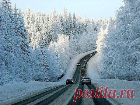 Валентина Гатицкая