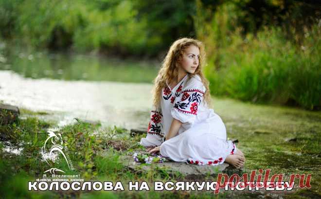 Колослова на всякую потребу.