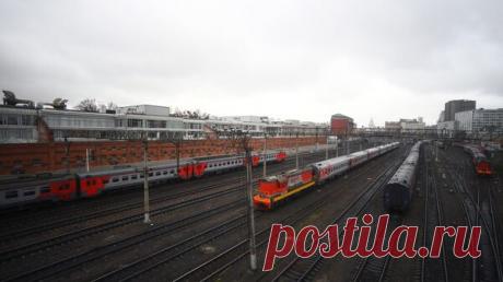 Хозяйка выброшенного в Кирове кота надеется на увольнение проводницы