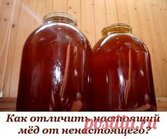 Как отличить настоящий мёд от ненастоящего? 
 
1. Настоящий мёд засахаривается снизу, а не сверху. 
 
2. Капля настоящего мёда, капнутая на запястье, не растекается. 
 
3. Если мёд, налитый в бутылку, перевернуть, то всплывают два пузыря воздуха – сначала первый большой, затем второй маленький. 
 
Если переворачивать не бутылку, а банку (литровую или трёхлитровую), то воздушный пузырь должен быть один. Если всплывают еще несколько маленьких пузырей – мёд ненастоящий. 
 
4....