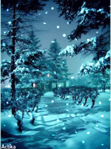 1098713.gif (240×320)