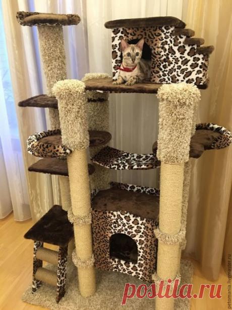 ​Лучшие идеи удобных домиков для кошек