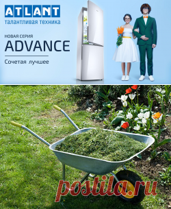 Как мульчировать травой, чтоб повысить урожай / Асиенда.ру