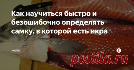 Как научиться быстро и безошибочно определять самку, в которой есть икра При правильном выборе особи, за одну и ту же стоимость, можно получить отличный бонус в виде красной икры! Которая, если правильно её обработать