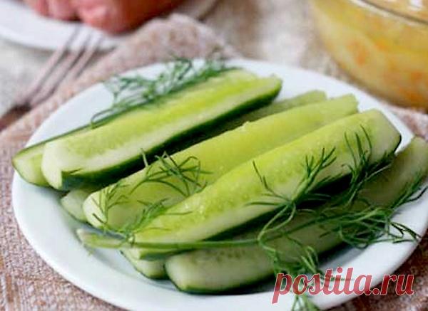 Малосольные огурцы с уксусом | Печем и варим