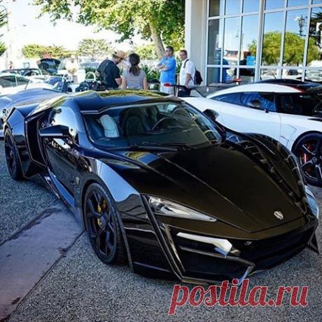 Чёрные зверюги ☺