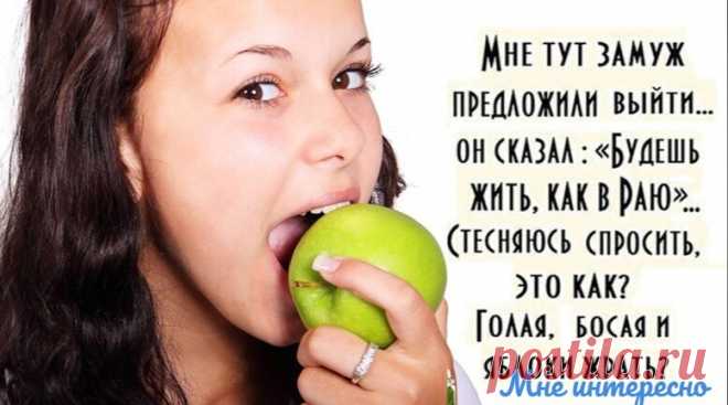Некоторые считают, что они поднялись, на самом деле они всплыли - очередная порция юмора из моей рукодельной группы | МНЕ ИНТЕРЕСНО | Яндекс Дзен