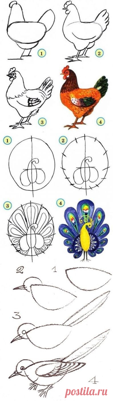 Схемы рисования птиц
