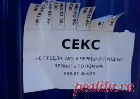 Самые ржачные объявления, которые можно увидеть только в России. Заряд позитива на неделю обеспечен | Мастерская Три Енота | Яндекс Дзен