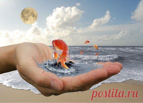 Вам нужен дополнительный доход ? Вы пытались заработать в интернете , но только теряли деньги ? Вы задумывались , а почему не получается ? Может настало время разобраться , что такое настоящий  бизнес ? Предлагаем бизнес в сфере здоровья . Мы готовы помочь Вам в построении своей структуры и зарабатывать деньги в нашей команде , а Вы готовы ? Если да тогда пройдите пройдите по ссылке . http://zinaidavelichko.zdoroviibiznes.promotionalurl.com/item/5