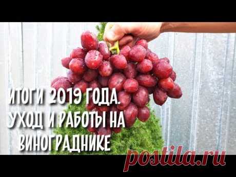 УХОД ЗА ВИНОГРАДНИКОМ ОТ А до Я. ПОДБОР ВСЕХ РАБОТ ЗА 2019 год