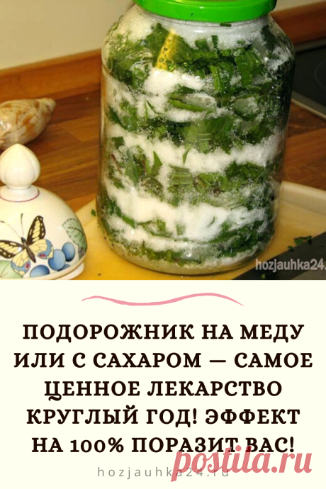 Подорожник потому и называют «попутчиком», что он растет практически везде и всегда готов прийти на помощь человеку.