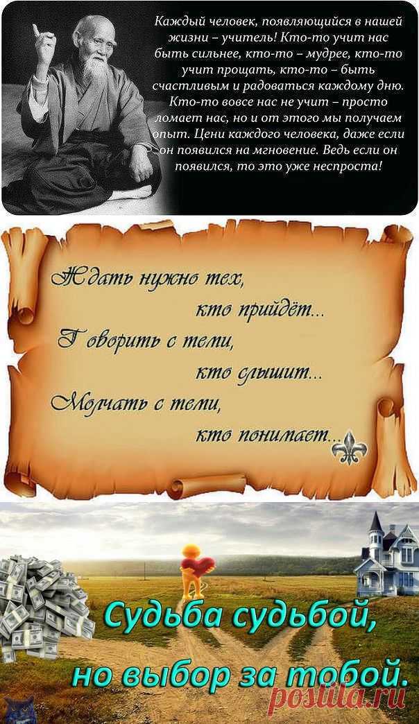 ДОВЕРЬТЕСЬ ЖИЗНИ...В НЕЙ ЕСТЬ ВСЕ....