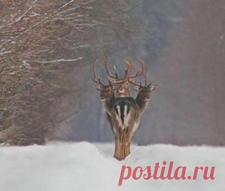 Удачный кадр