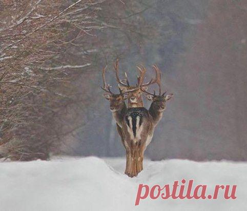 Удачный кадр