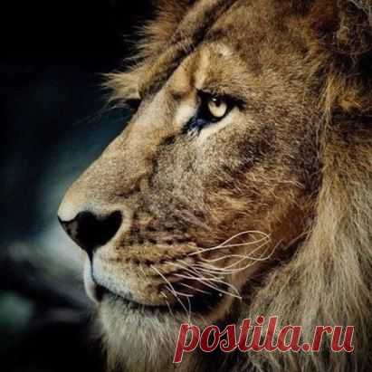 Самое большое препятствие - Страх. Самая большая ошибка - Пасть духом. Самый опасный человек - Лжец. Самое коварное чувство - Зависть. Самый красивый поступок - Простить. Самая лучшая защита - Улыбка. Самая мощная сила - Вера.