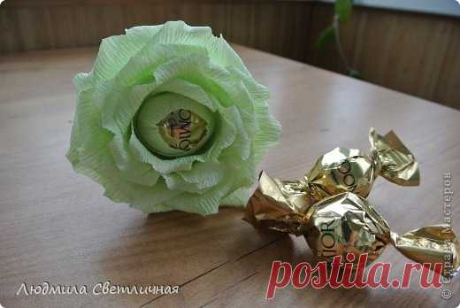 Роза