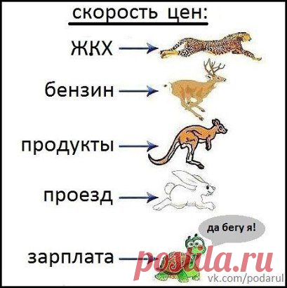 (2) Однокласники