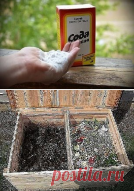 (48) Одноклассники