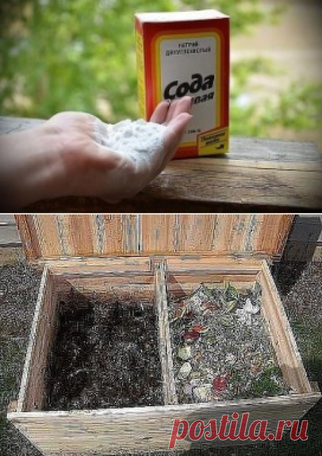 (48) Одноклассники