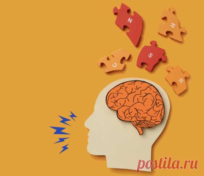 Речь и память. Секреты правильного запоминания любого текста. | Галина Ржавская | Дзен