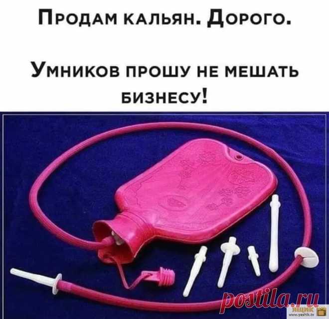 Убойный юмор / Картинки: Приколы