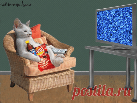 5c4fa6c4decf997ccfcd968e83c5102e.gif (620×465)