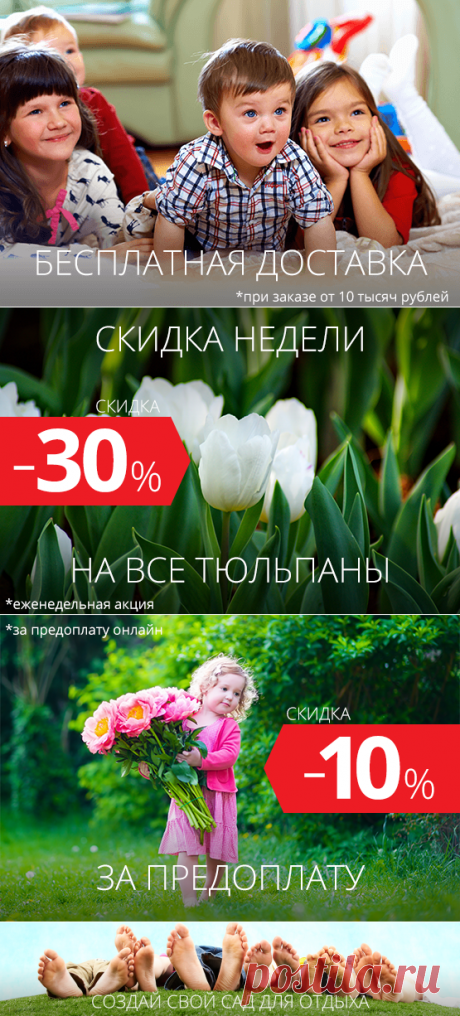 Саженцы плодовые и ягодные почтой - Интернет-магазин "Златпитомник"